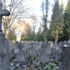 zdjęcie nr 46