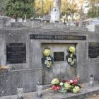 zdjęcie nr 22