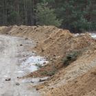 zdjęcie nr 10