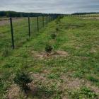 Przyjazną mieszkańcom przestrzeń obsadzono drzewami i krzewami.

