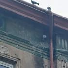 FOT. ZW