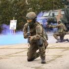 Fotka nr 3 z 14