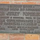 zdjęcie nr 8