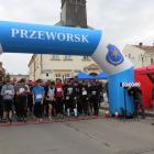 zdjęcie nr 10