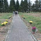 zdjęcie nr 11