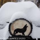 zdjęcie nr 9