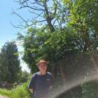 . Przydrożne uschnięte drzewa rosną poza pasem drogowym. – Nie tak dawno jedno z takich...