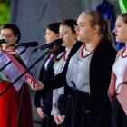 zdjęcie nr 226