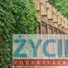 zdjęcie nr 12