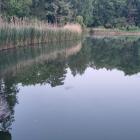 zdjęcie nr 34