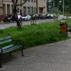 zdjęcie nr 2