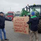 zdjęcie nr 11