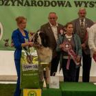 zdjęcie nr 12