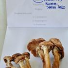 Fotka nr 0 z 13