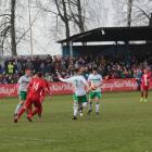 Fotka nr 3 z 11