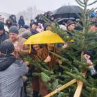 zdjęcie nr 17