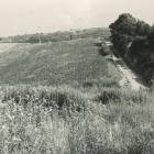 zdjęcie nr 83