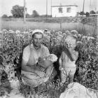 Fotografie wykonane przez Bolesława Fariona (źródło fotografii: archiwumfariona.pl).