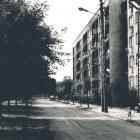 zdjęcie nr 131