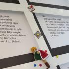 zdjęcie nr 15
