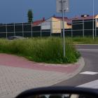 zdjęcie nr 5