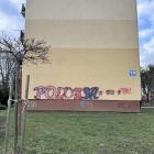 zdjęcie nr 8