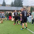 Fotka nr 2 z 18
