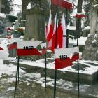 Fotka nr 2 z 13