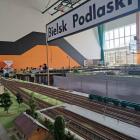 zdjęcie nr 13