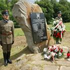 zdjęcie nr 42