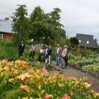 Fot. Arboretum w Bolestraszycach