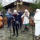 zdjęcie nr 8