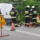 zdjęcie nr 11