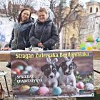 zdjęcie nr 24