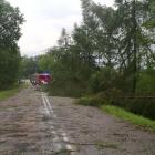 zdjęcie nr 8