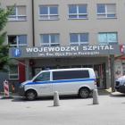 Fotka nr 3 z 7