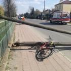 Fotka nr 1 z 4