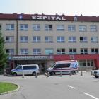 Fotka nr 5 z 7
