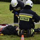 Fotka nr 1 z 8
