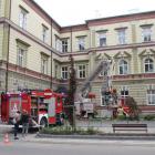 zdjęcie nr 9