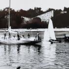 Fotka nr 4 z 13