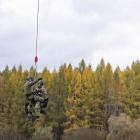 zdjęcie nr 9