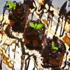 zdjęcie nr 10