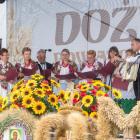 zdjęcie nr 25