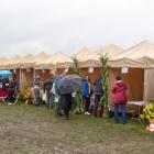 zdjęcie nr 11