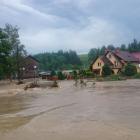 zdjęcie nr 8