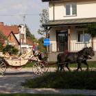 Fotka nr 5 z 8