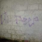 Fotka nr 3 z 4
