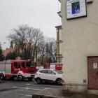 zdjęcie nr 7