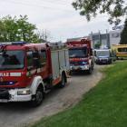 Fotka nr 5 z 6
